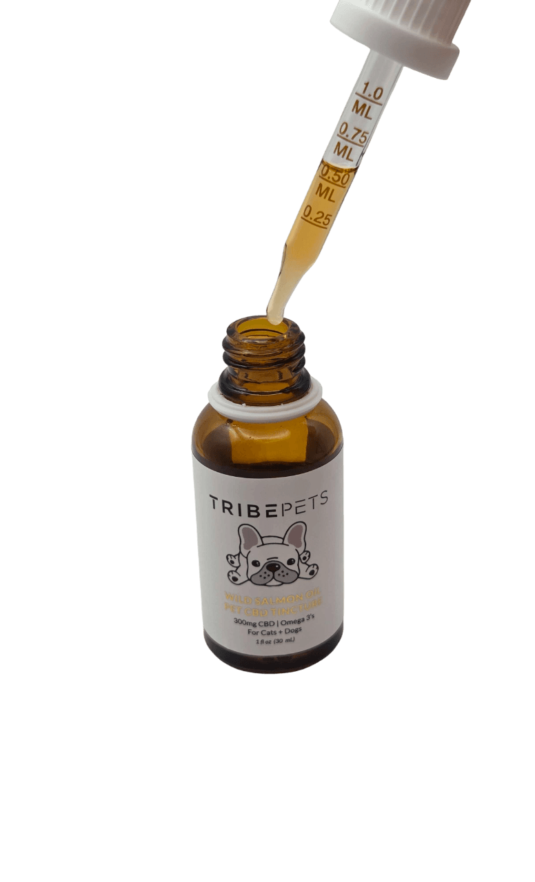 CBD Pet Tincture