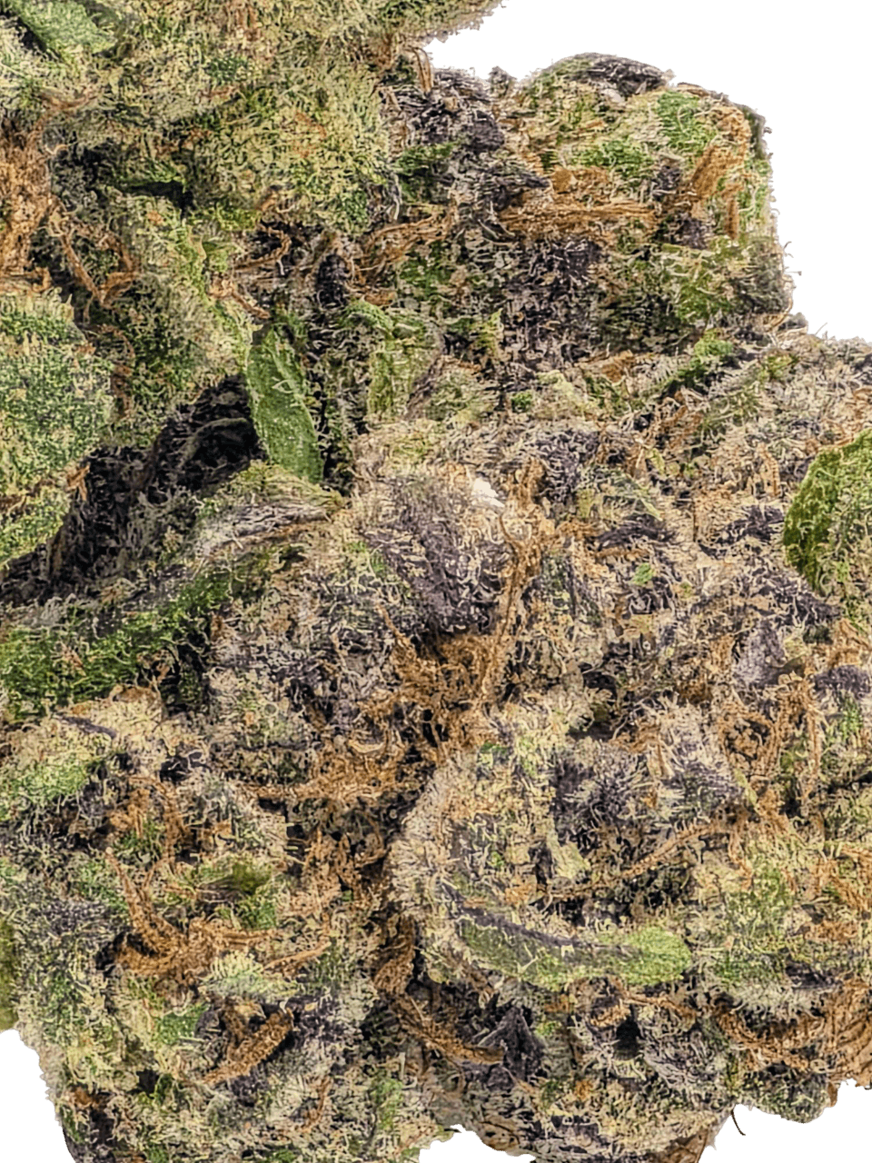 Sour Dream