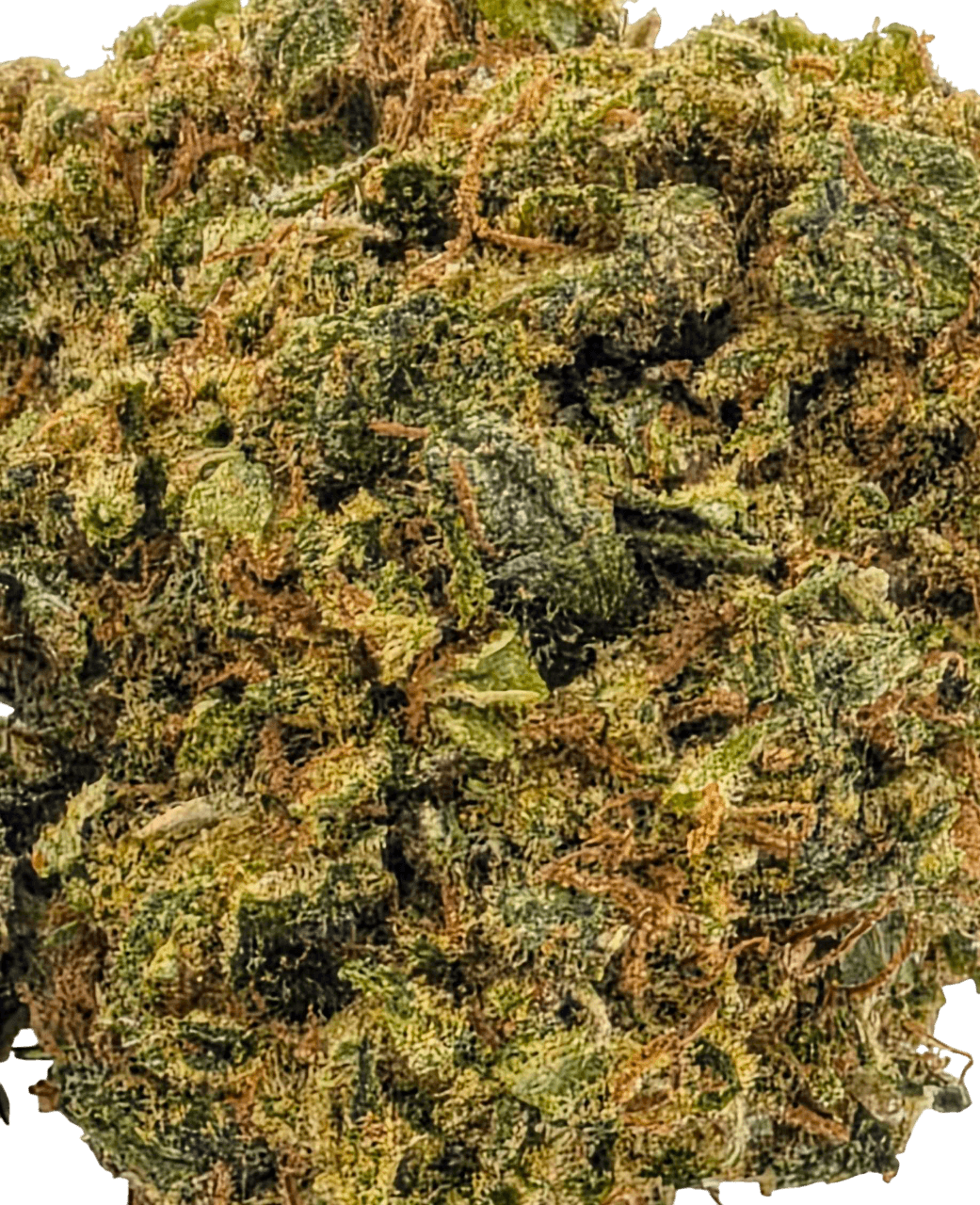Super Silver Haze